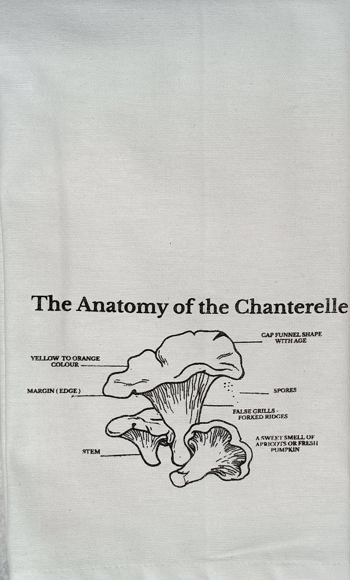 EcoWise Locally Screenprinted Tea Towels