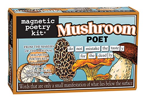 Magnetic Poetry Kit