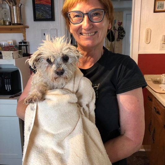 Cautiously Pessimistic by Debbie McGee