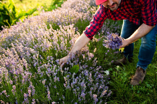 Iceberg Infused Foaming Soap Mousse by East Coast Glow