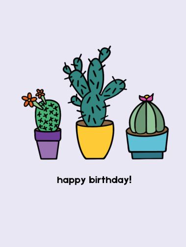 Write On Greeting Cards - Birthday