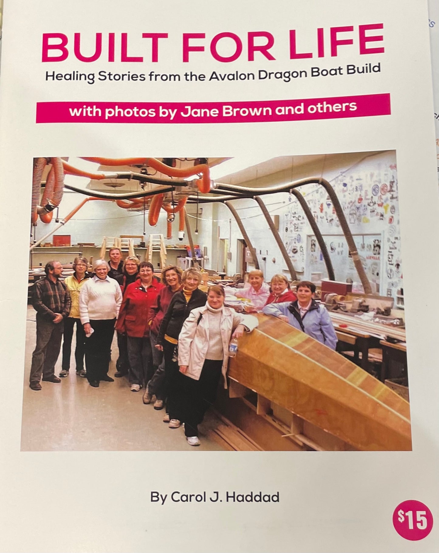 Built for Life: Healing Stories from the Avalon Dragon Boat Build by Carol J. Haddad