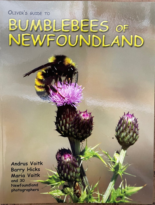 Bumblebees of Newfoundland by Andrus & Maria Voitk and Barry Hicks