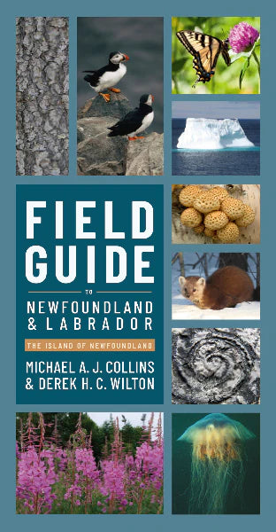 Field Guide to Newfoundland and Labrador by Michael Collins