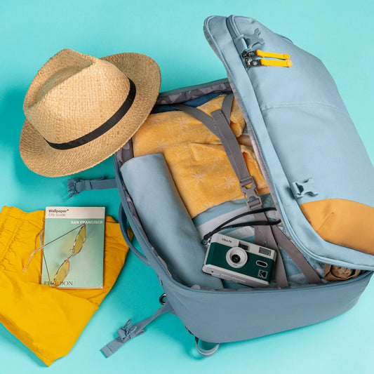 Pacsafe GO Anti-Theft Carry-On Backpack (34L)