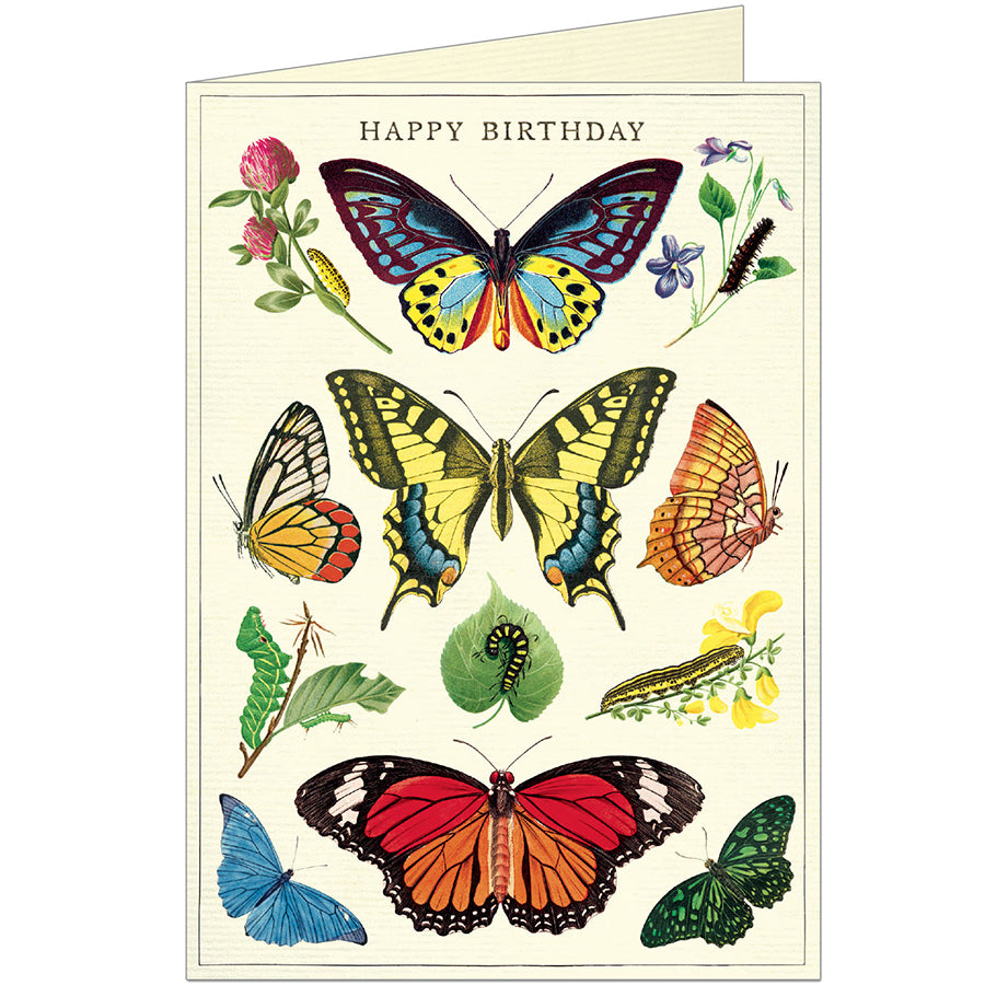 Cavallini & Co. Birthday Greeting Cards