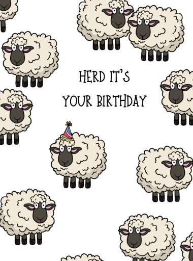 Write On Greeting Cards - Birthday