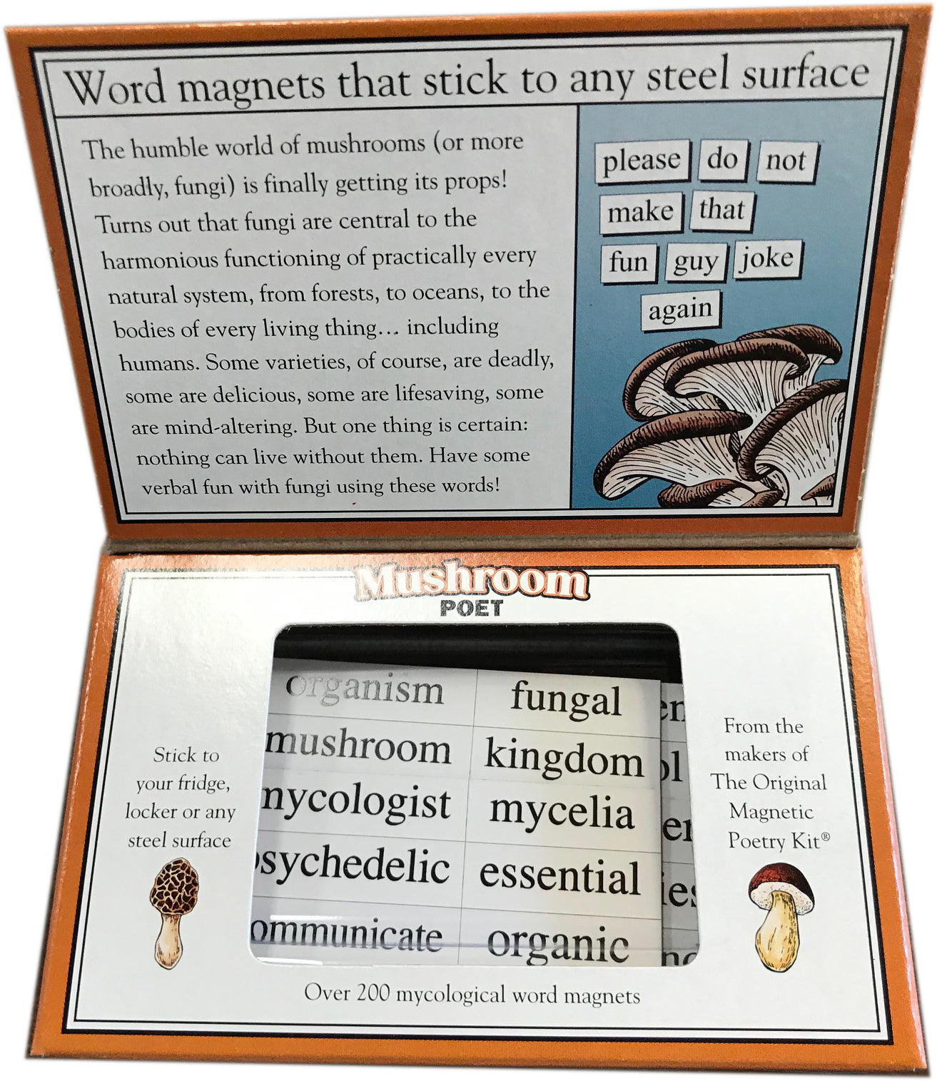 Magnetic Poetry Kit