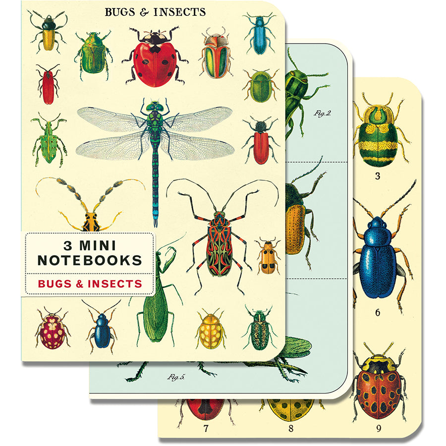 Cavallini & Co. Mini Notebooks (Set of 3)