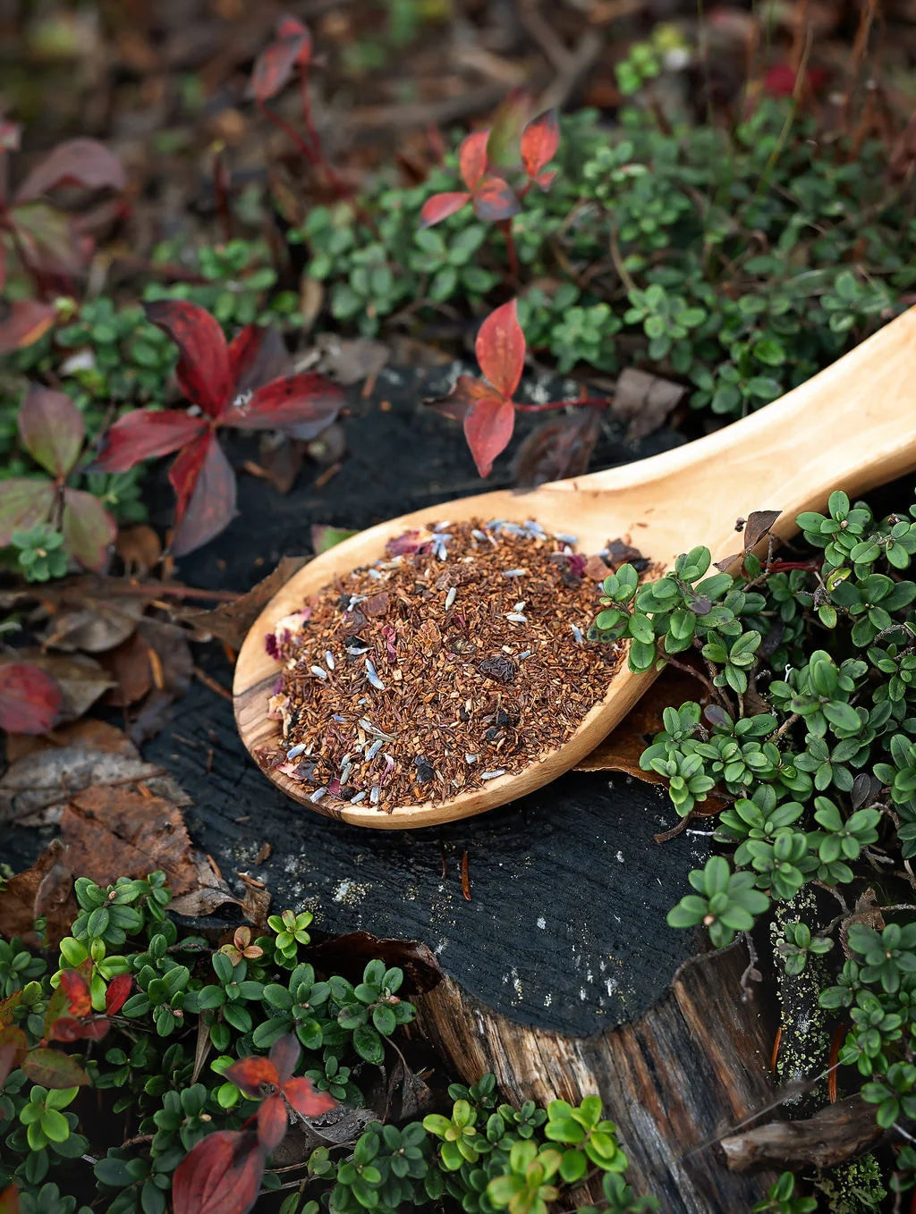 The Newfoundland Tea Company Loose Teas