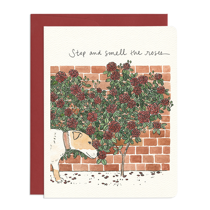 Gotamago - Thank You and Encouragement Greeting Cards