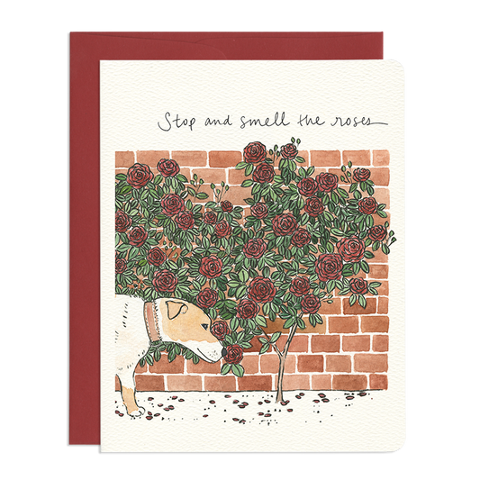 Gotamago - Thank You and Encouragement Greeting Cards