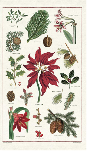 Cavallini & Co. Vintage Tea Towels