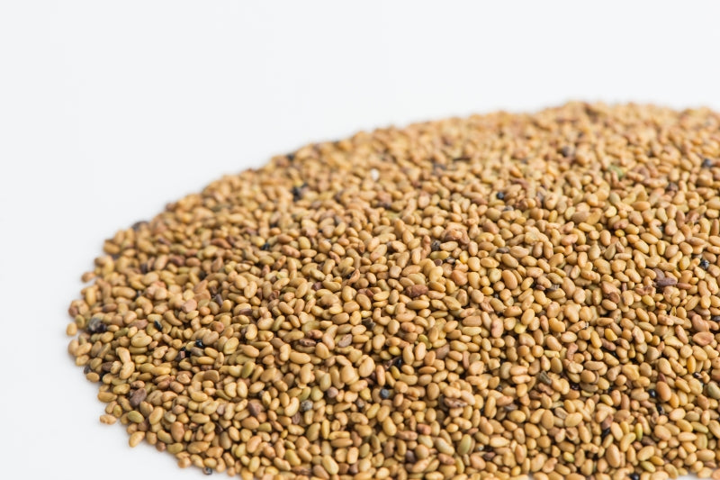Mumm's Sprouting Seeds