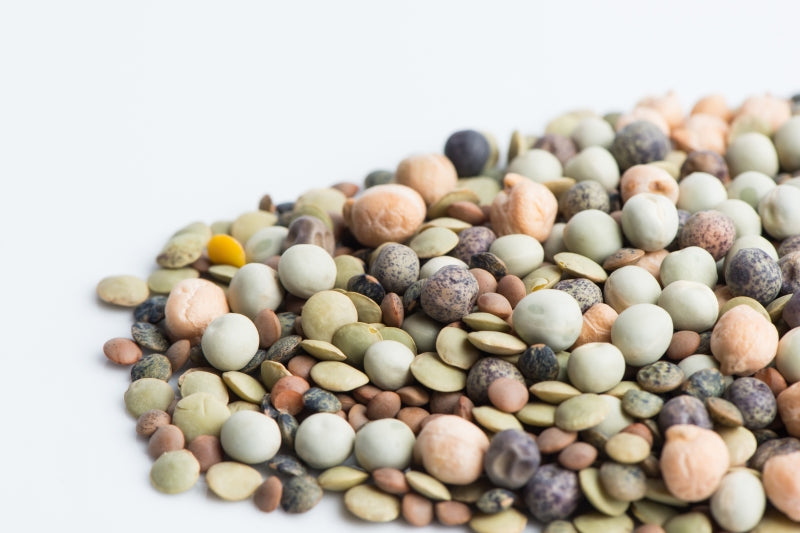 Mumm's Sprouting Seeds