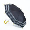 Fulton Junior Kids Umbrella