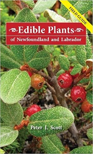 Field Guide: Edible Plants of Newfoundland and Labrador by Peter J. Scott
