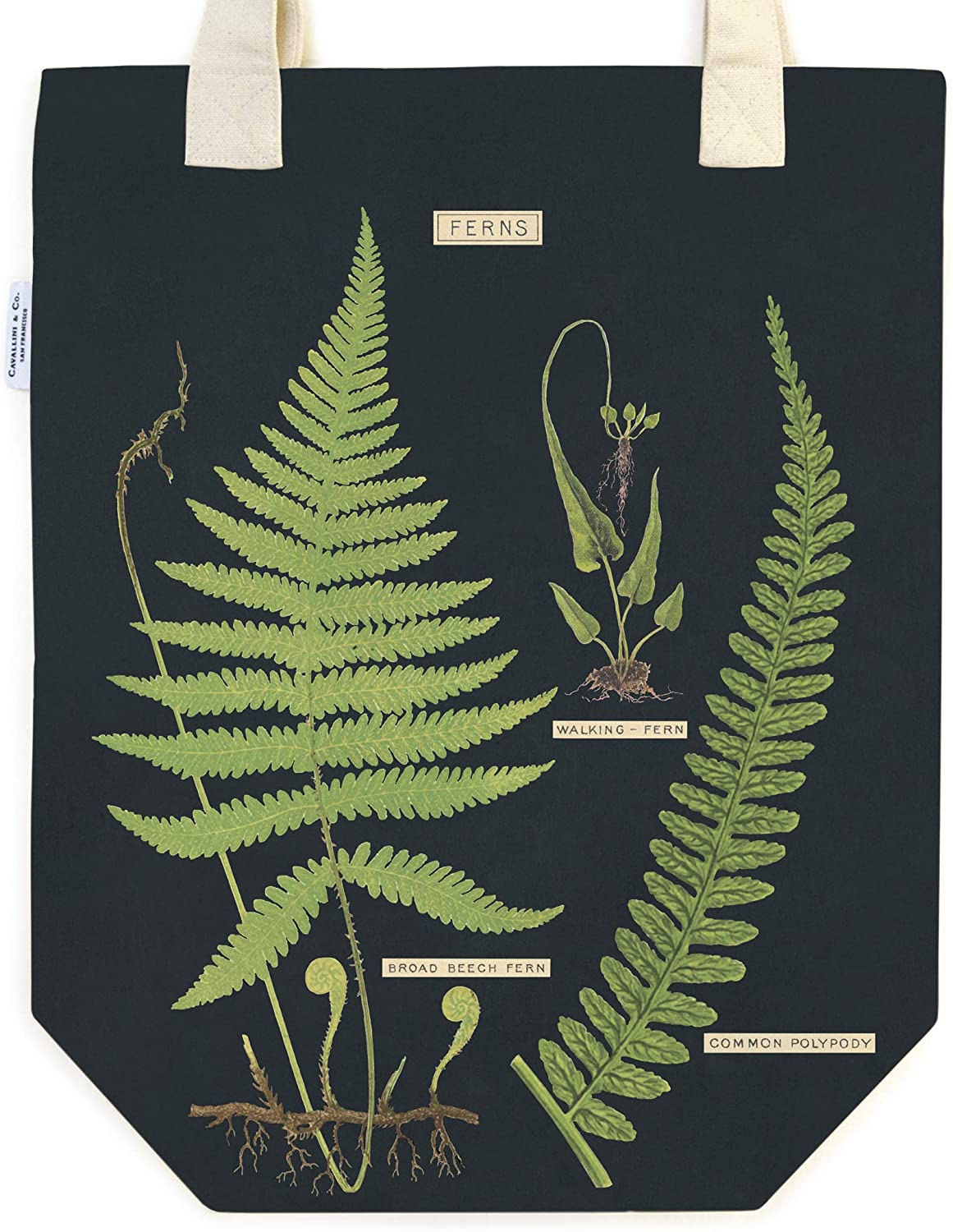 Cavallini & Co. Vintage Cotton Totes