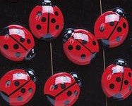 Magnetic Lady Bug