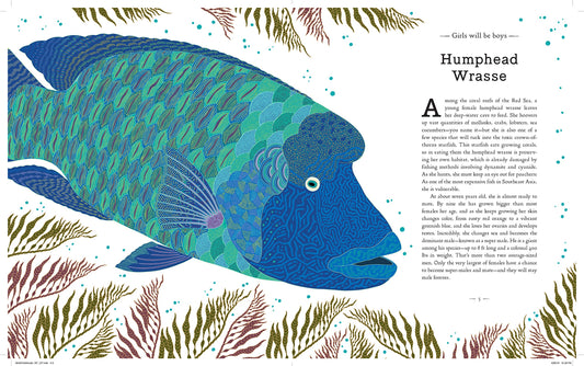 A Wild Child's Guide to Endangered Animals by Millie Marotta