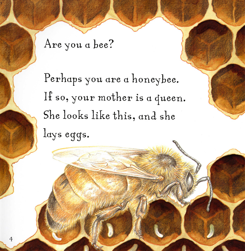 Are You A Bee? by Judy Allen & Tudor Humphries