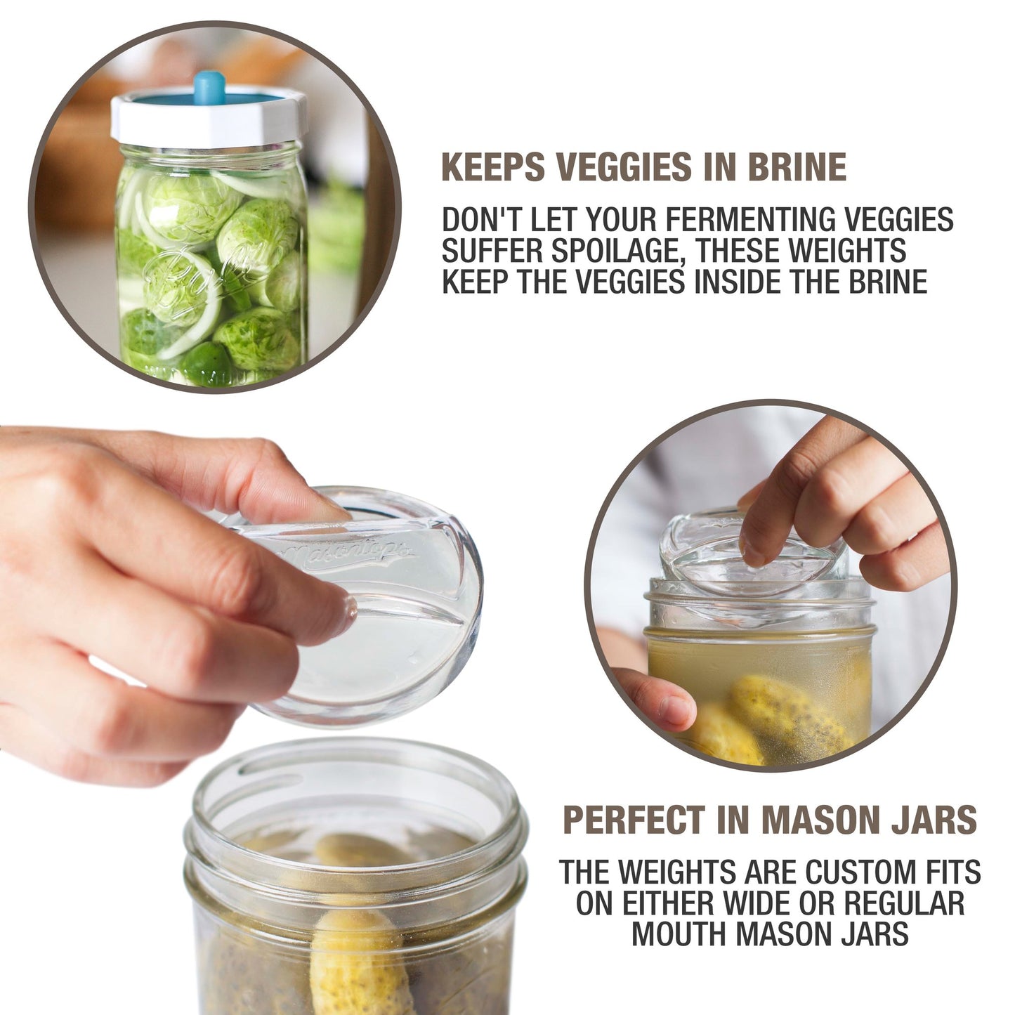 Masontops Pickle Pebble Glass Fermentation Weights
