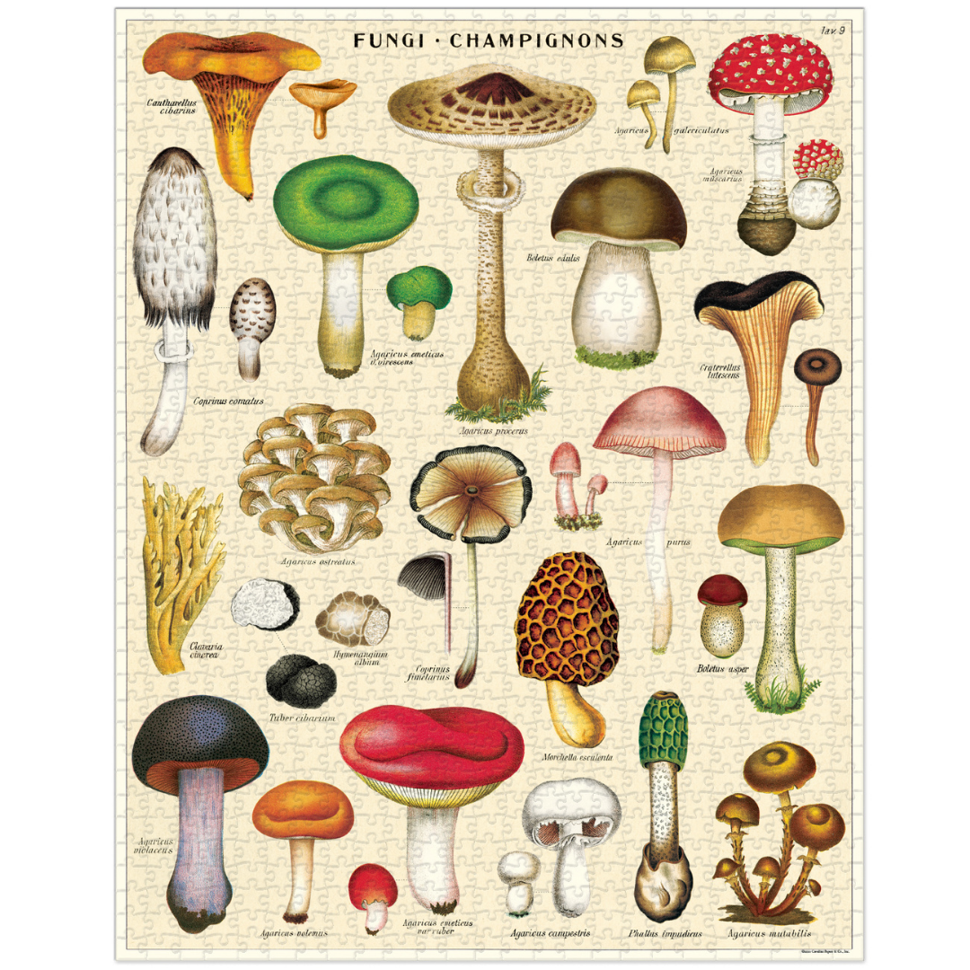 Cavallini & Co. Vintage Puzzles (1000 pieces)