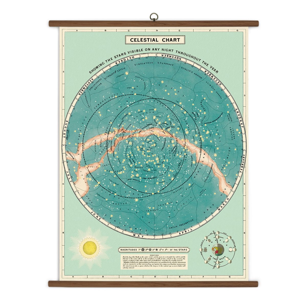 Cavallini & Co. Vintage School Chart