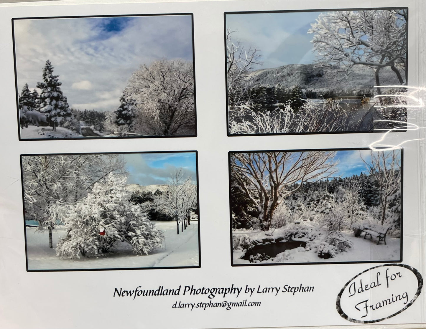 Newfoundland Photography Note Cards by Larry Stephan
