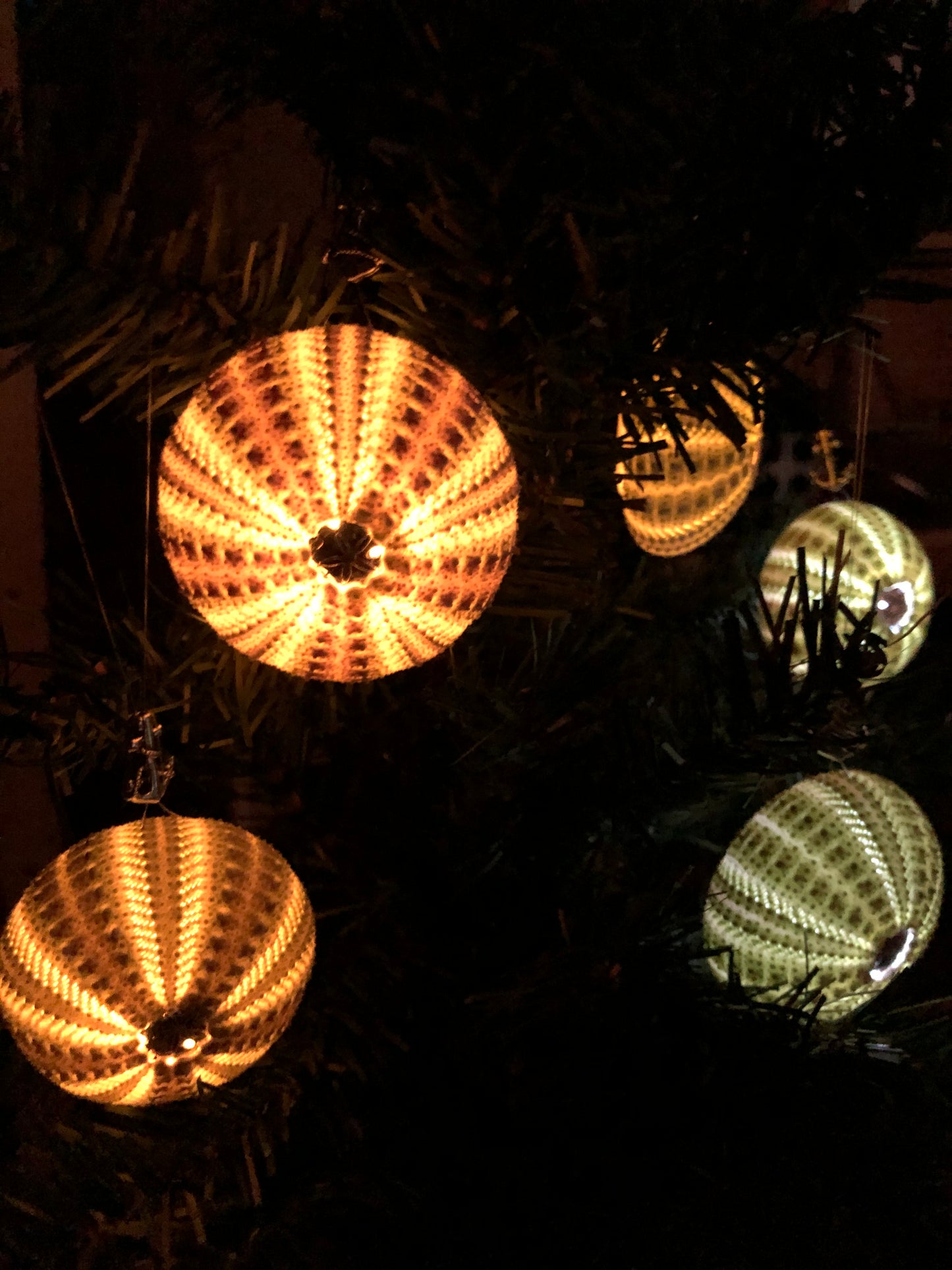 *LIMITED EDITION* Green Urchin Light Up Tree Ornaments