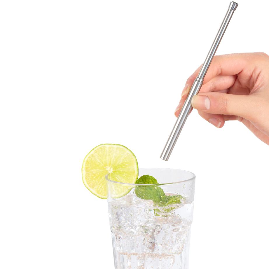Stainless Steel Travel Straw Set w/ Brush