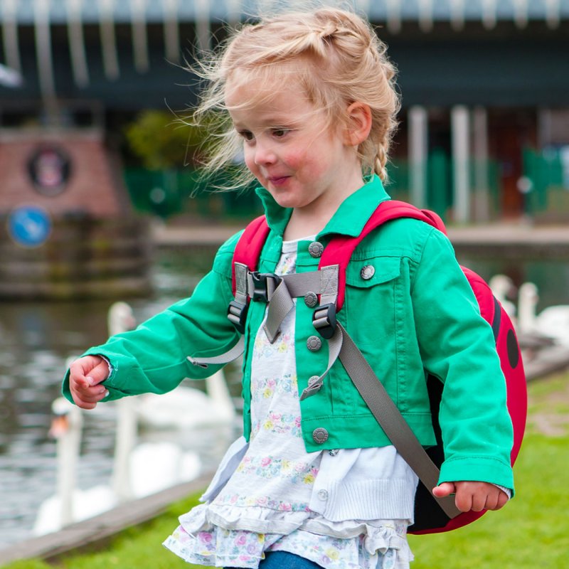 LittleLife Big Animal Daysack