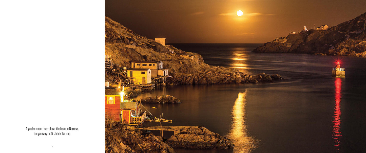 Lost in Newfoundland by Michael Winsor