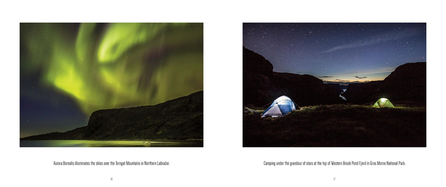 Lost in Newfoundland by Michael Winsor