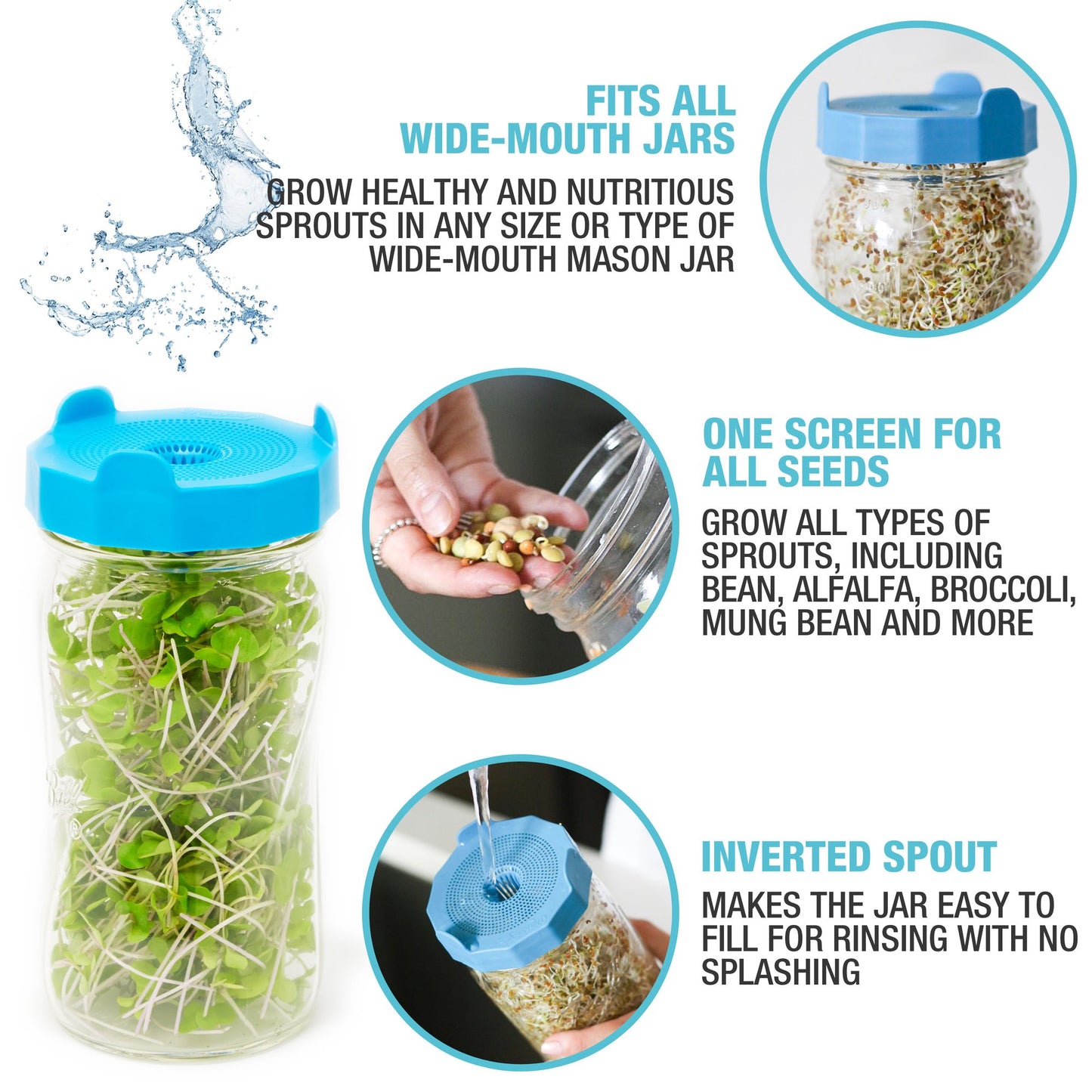 Masontops Bean Screen Sprouting Lid