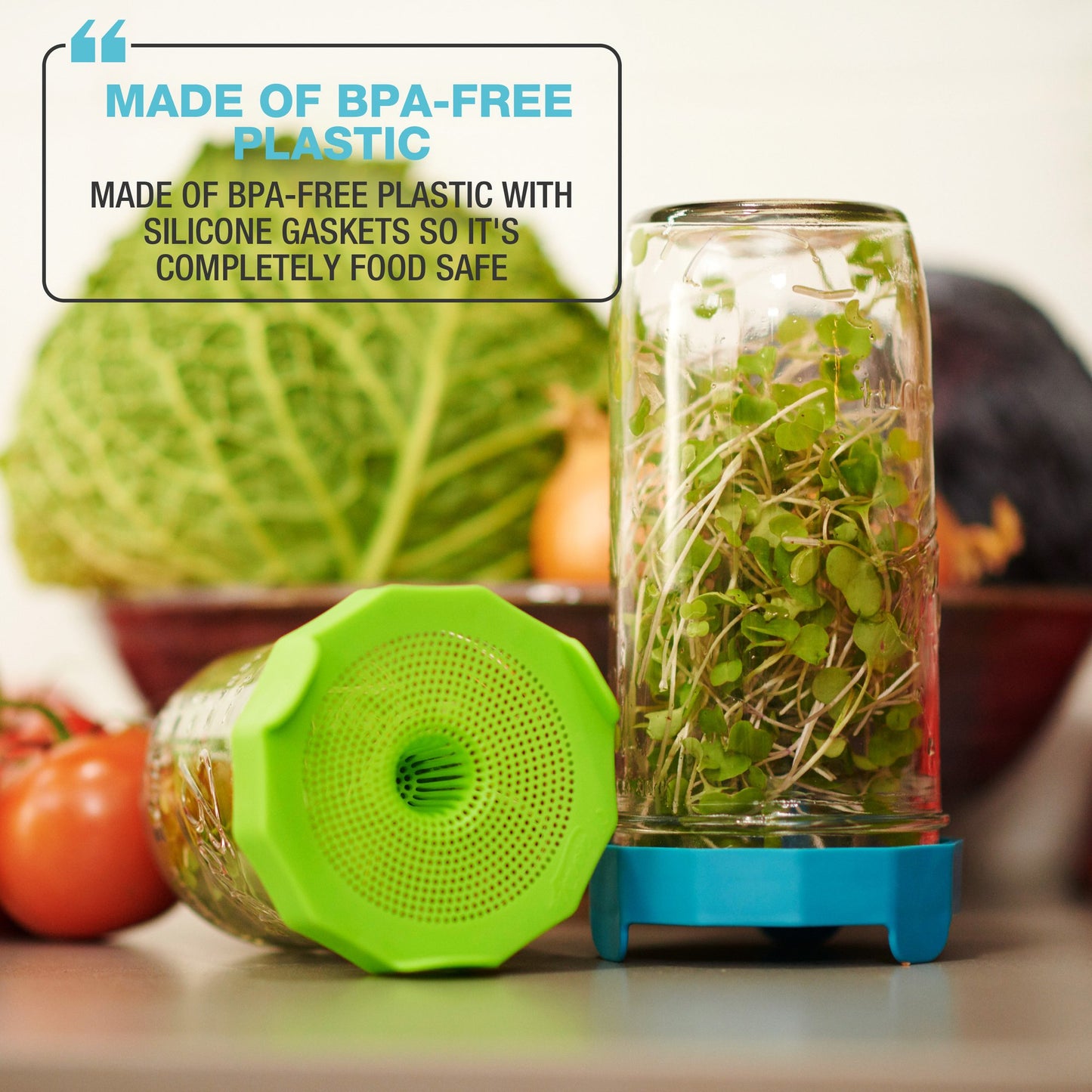 Masontops Bean Screen Sprouting Lid