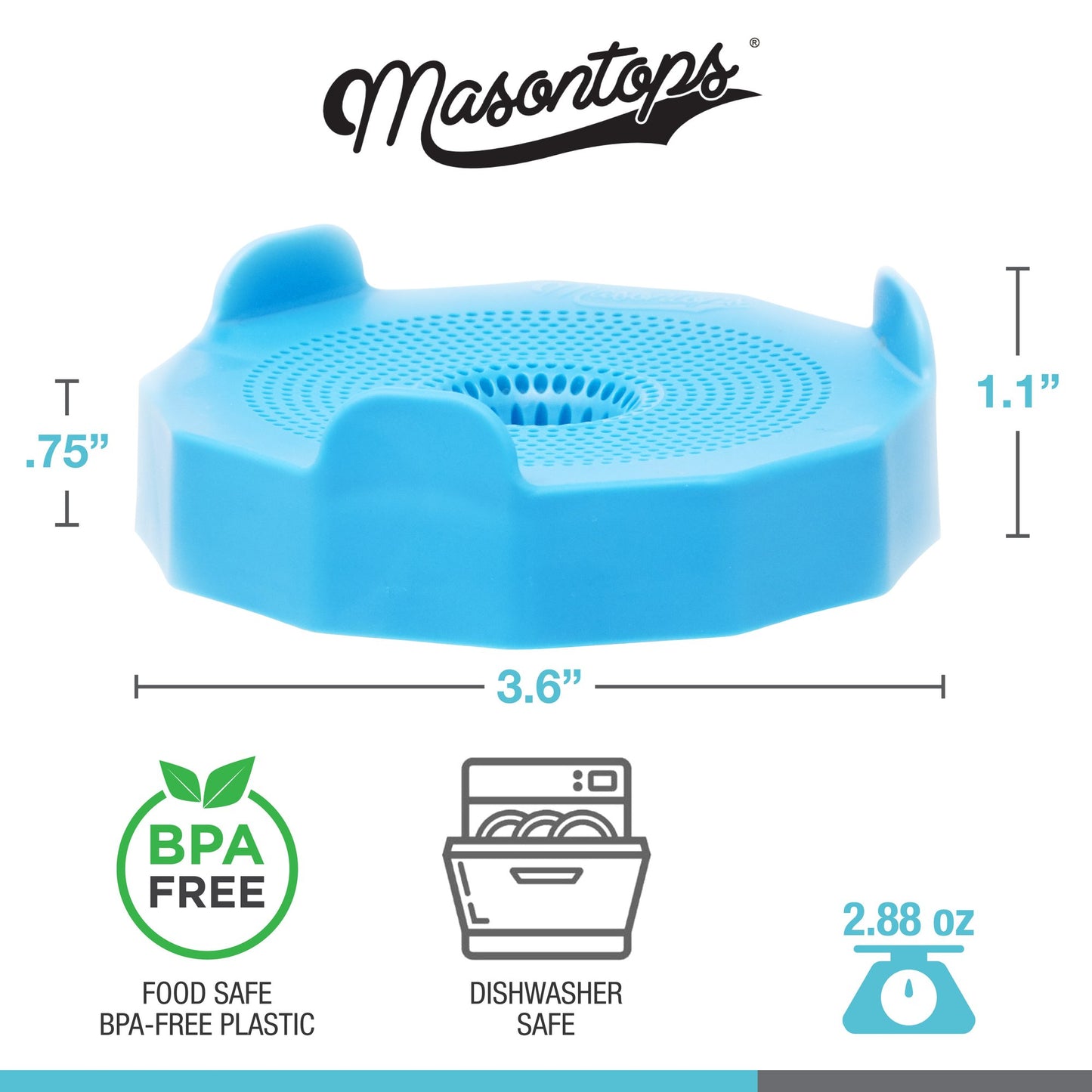 Masontops Bean Screen Sprouting Lid