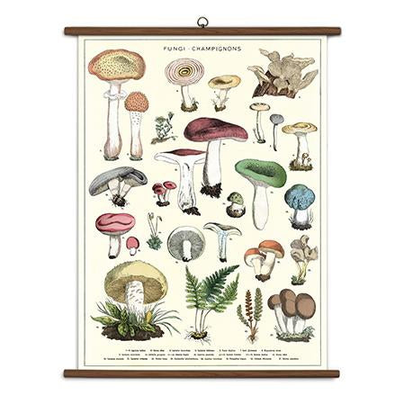 Cavallini & Co. Vintage School Chart