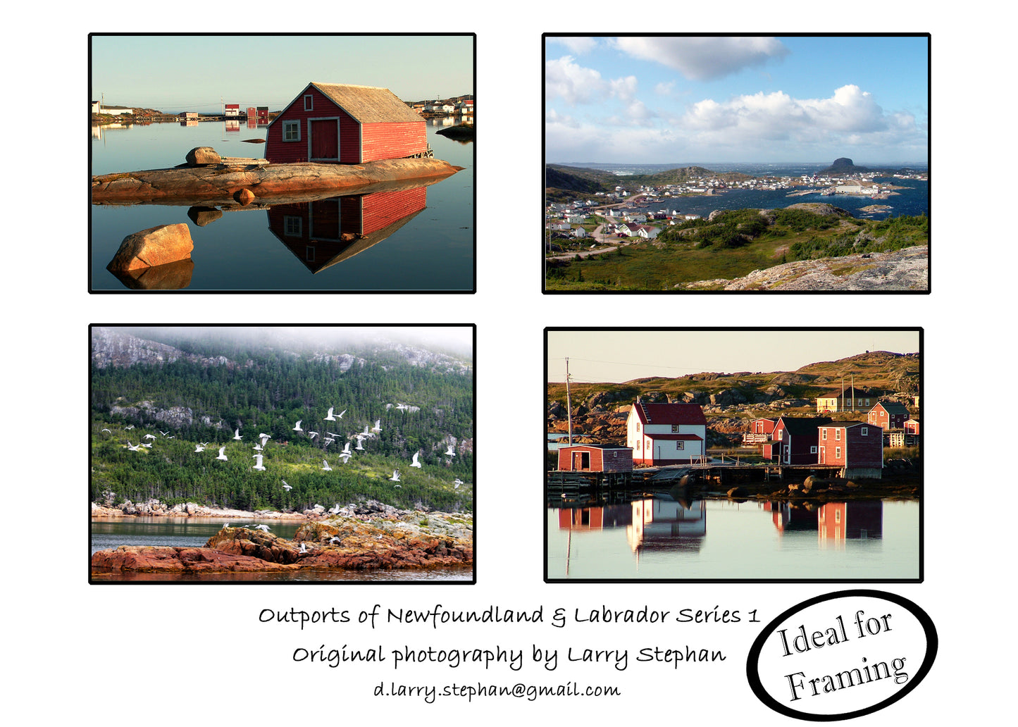 Newfoundland Photography Note Cards by Larry Stephan