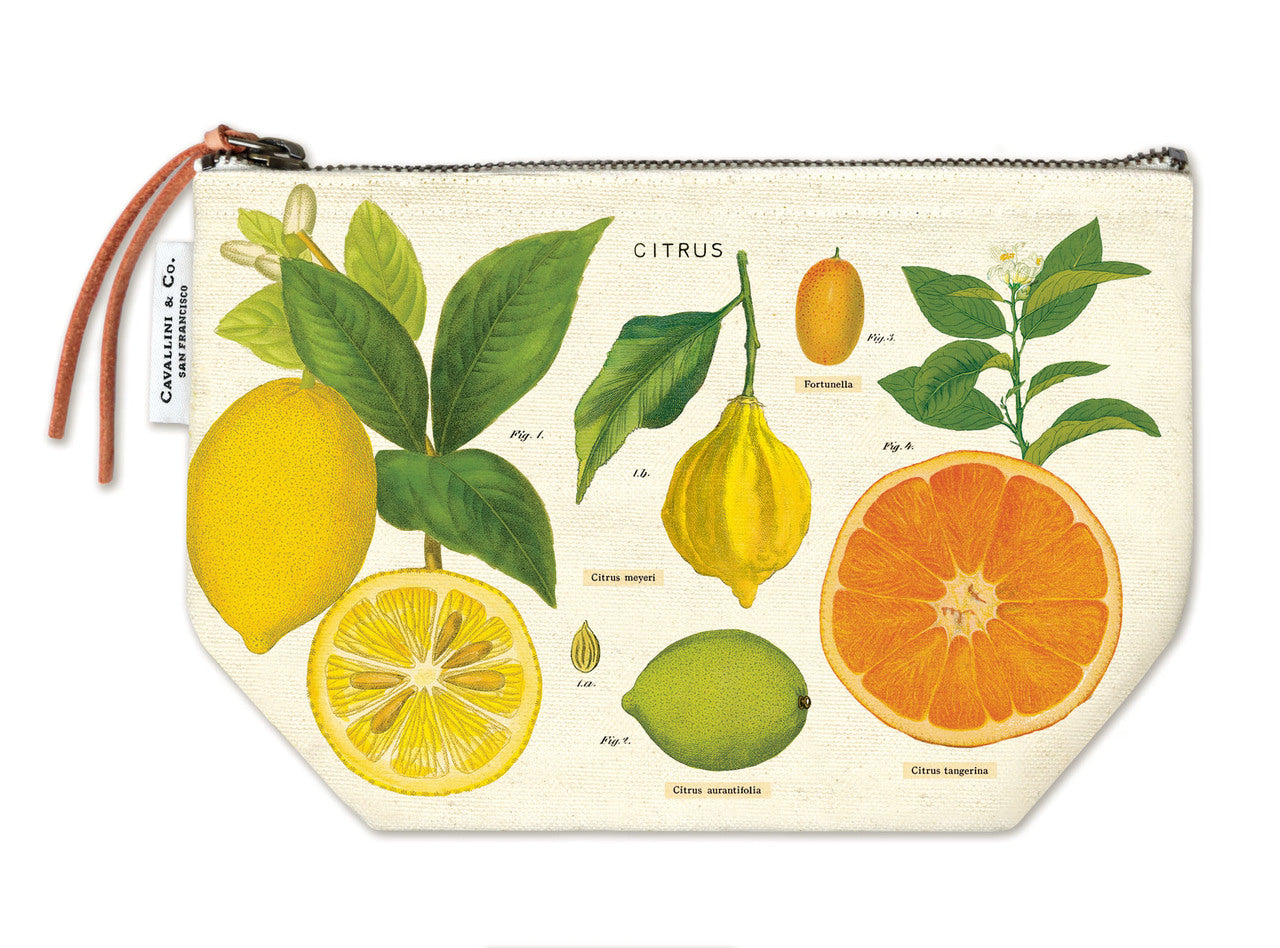 Cavallini & Co. Vintage Pouch
