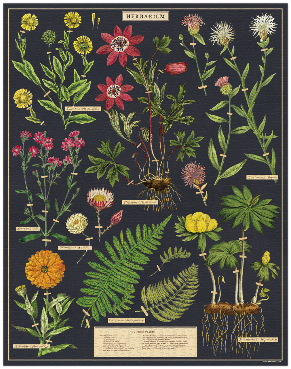 Cavallini & Co. Vintage Puzzles (1000 pieces)