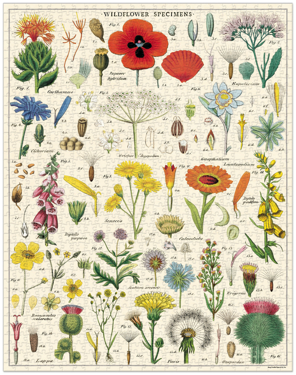 Cavallini & Co. Vintage Puzzles (1000 pieces)
