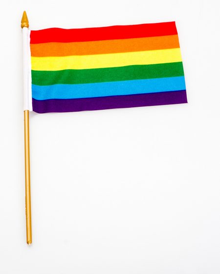Pride Rainbow Flag