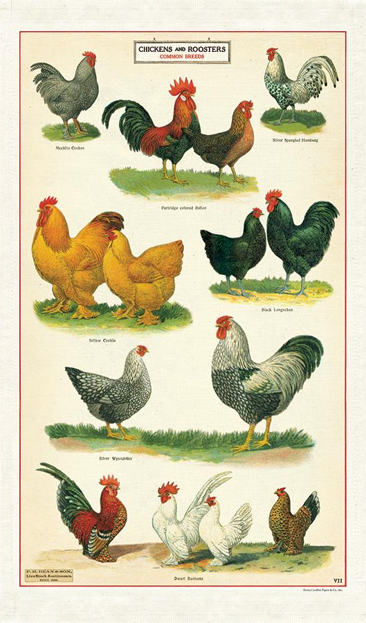Cavallini & Co. Vintage Tea Towels