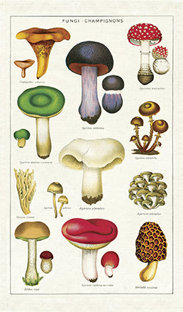 Cavallini & Co. Vintage Tea Towels