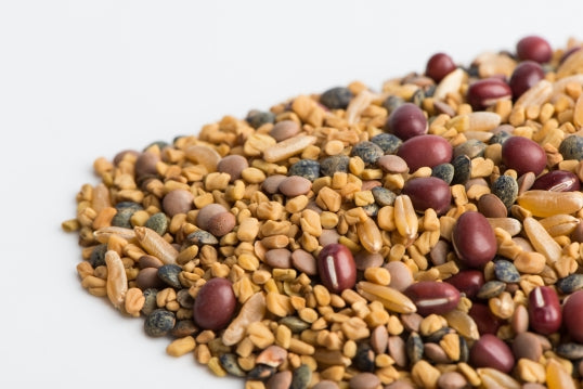 Mumm's Sprouting Seeds