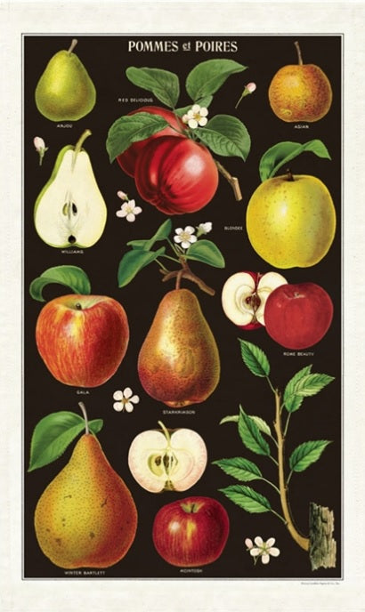 Cavallini & Co. Vintage Tea Towels