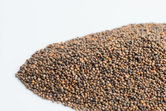 Mumm's Sprouting Seeds