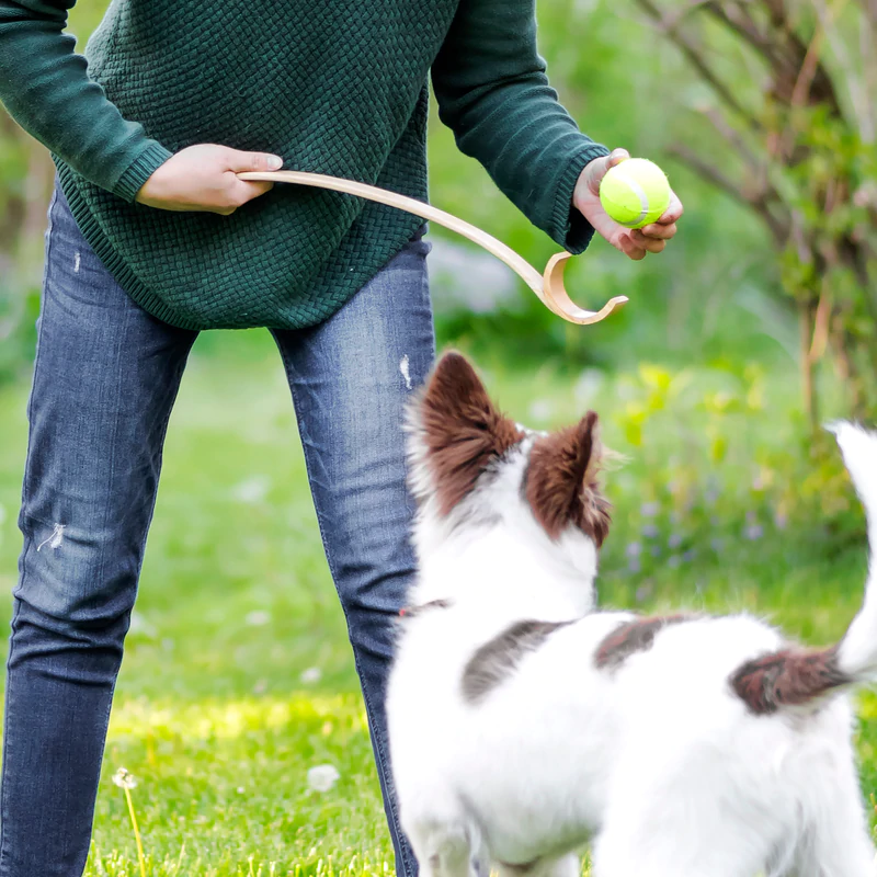 Wooden Ball Launcher from Kikkerland