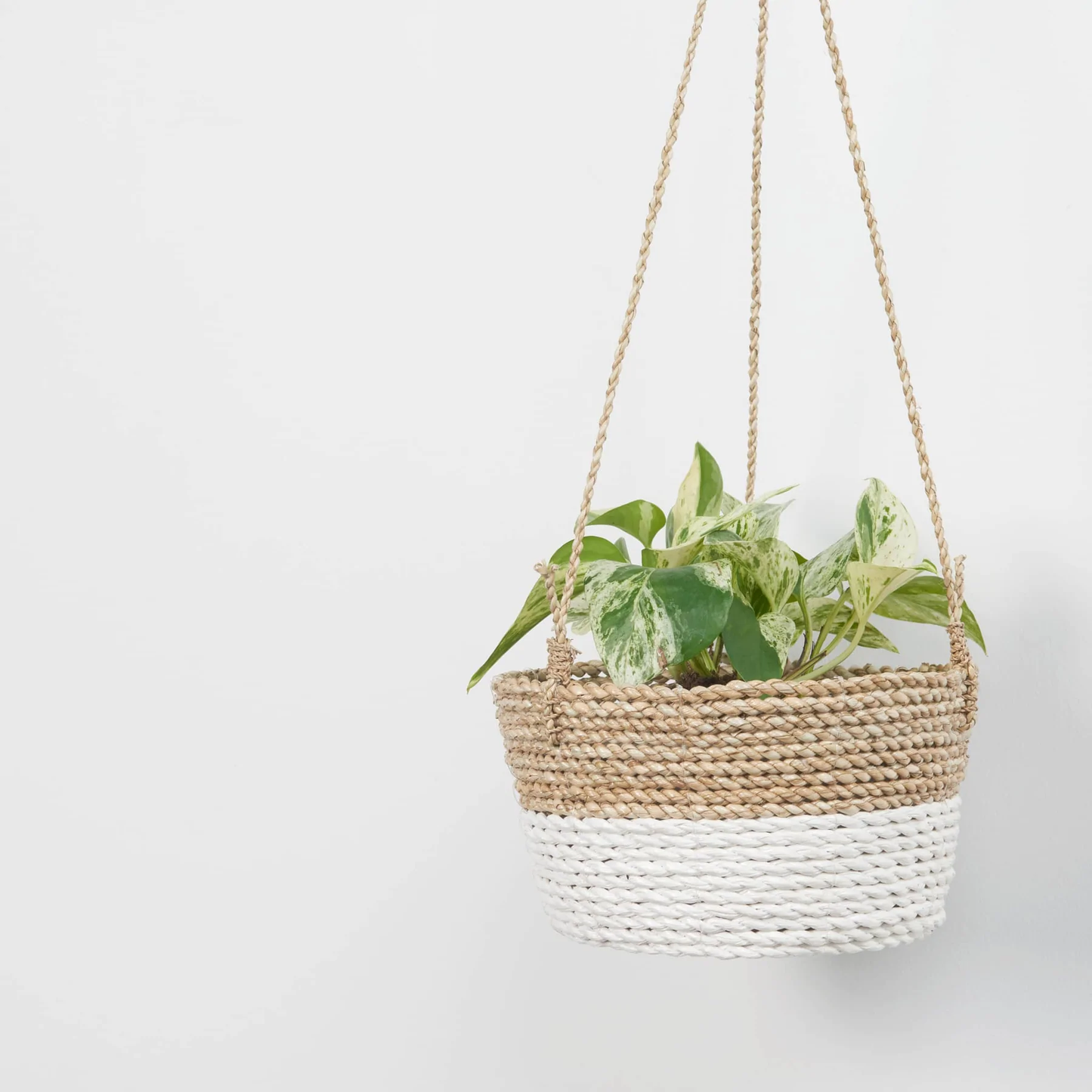 Pokoloko Seagrass Hanging Baskets